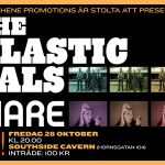 Next gig in Stockholm – with  Tiare Helberg + Jontahan Segel on fiddle